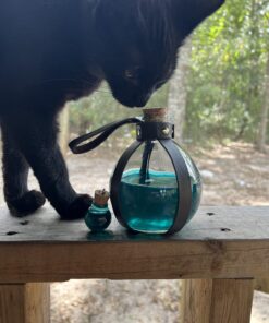 Rubie's Potion Bottle Holder Accessory One Size 25 71ylqdz2QEL