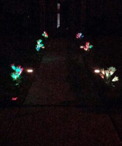 TONULAX Solar Garden Lights Outdoor - New Upgraded, Multi-Color Changing Lily Solar Lights for Patio,Yard Decoration, Bigger Flower and Wider Solar Panel (2 Pack,Purple and Red) 2 Pack 30 71ymtL8uqtL