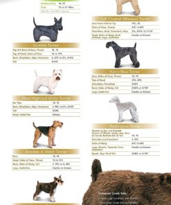 Andis – 21641, Ultra Edge Dog Clipper Blade – Carbon-Infused Steel With Exclusive Hardening Process, Long-Lasting Blades, 3/32-Inch Cut Length – For Dogs & Medium-Sized Animals, Size-T-84, Chrome T-84: 3/32" (2.4 mm) 11 71ypM6wlsGL