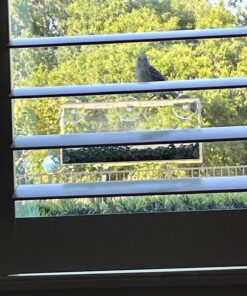 Wagner's 13008 Deluxe Wild Bird Food, 10 lb Bag Original Version 33 71ypQ4mDeUL