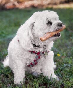 Lucky Premium Treats Chicken Wrapped Rawhide – All-Natural Rawhide and Chicken Dog Treats, Gluten Free Premium Medium Dog Treats (32 Chews) 32 Count (Pack of 1) 16 71ytQwrNxrL