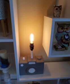 Bulbrite Incandescent T14 Medium Screw Base (E26) Light Bulb, 40 Watt, Antique 40 Watts 21 71ytgFBEJNL