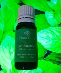 Spearmint Essential Oil 10 ml. 100% Pure Undiluted Therapeutic Grade for Aromatherapy Diffuser 28 71yvbs4N9bL