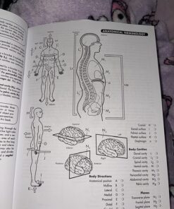 Anatomy Coloring Workbook, 4th Edition: An Easier and Better Way to Learn Anatomy Paperback, Coloring Book 15 71ywca330EL
