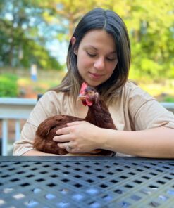 Prairie's Choice Non-GMO Backyard Chicken Feed - Grower Formula, 25lbs 19 71ywyM5rC8L