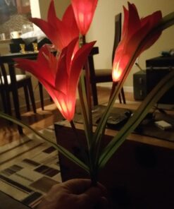 TONULAX Solar Garden Lights Outdoor - New Upgraded, Multi-Color Changing Lily Solar Lights for Patio,Yard Decoration, Bigger Flower and Wider Solar Panel (2 Pack,Purple and Red) 2 Pack 38 71yyYcpqaUL