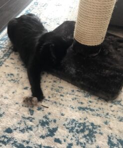 Go Cat Cat Catcher Teaser Wand with Mouse Cat Toy 32 71yzbJwzi4L