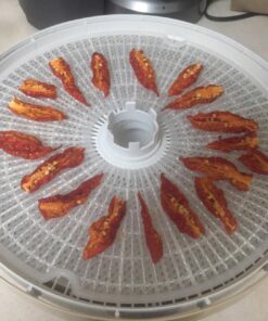 NESCO LM-2-6 Round Plastic Mesh 13 1/2" Clean-A-Screens, for Dehydrators, (Pack of 2) 24 71z0Q0biiL