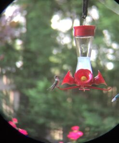 Wingspan Optics Explorer High Powered 12X50 Monocular. Bright and Clear. Single Hand Focus. Waterproof. Fog Proof. For Bird Watching, or Watching Wildlife. Daytime Use. Formerly Polaris Optics 35 71z6JuydpIL