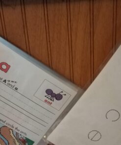 Charles Leonard Loose Leaf Rings, 1" Diameter, Metallic Assorted Colors, (85000), 50 per pack Assorted Metallic Colors 50 Count 1 Inch Diameter 15 71z6tfGF7TL