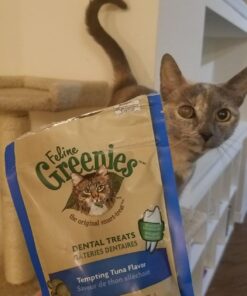 FELINE GREENIES Natural Dental Care Cat Treats Tempting Tuna Flavor, 2.1 oz. Pouch 2.1 Ounce (Pack of 1) 29 71z8K1XpnyL