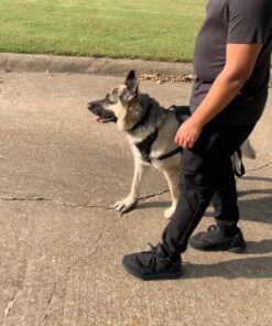 rabbitgoo Dog Harness, No-Pull Pet Harness with 2 Leash Clips, Adjustable Soft Padded Dog Vest, Reflective No-Choke Pet Oxford Vest with Easy Control Handle for Large Dogs, Black, XL X-Large 48 71zBa 4XCVL