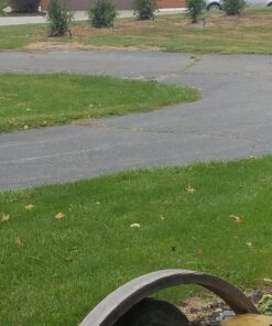 InnoGear Solar Lights for Outside, Solar Lights Outdoor Waterproof Solar Garden Yard Spot Lights Spotlight Pathway Landscape Lighting Wall Light Auto On/Off, Pack of 4 (Warm White) Warm White 42 71zBguVktqL