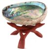Natural Abalone (Pāua) Shell, with Stand,6-6.5 Inches,Supreme for Smudging,Cleansing Home,Meditation,Shell Crafts,Incense Holder,100% Natural, Sustainably Sourced by Ocean Shell Studios NZ 6"-6.5" 15 71zCmuocjiL