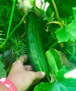 Panacea Products (83712) 46" x 18" A Frame Light Green Trellis 1 12 71zDMtXNw4L