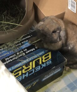 Petmate Booda Dome Cat Litter Box for Indoor Cats , Titanium, Made in USA One Size 49 71zEat 6CGL