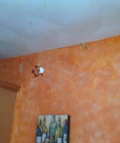 Gallerie II Octopus Christmas Xmas Ornament Brown 12 71zFGKLCJrL