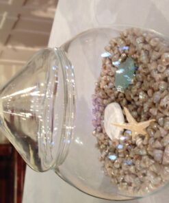 PEPPERLONELY Trochus Tiny Sea Shells, 6 OZ Apprx 1/4 Inch 6#. Trochus Tiny Shells 1/4" 7 71zG1K 5pBL
