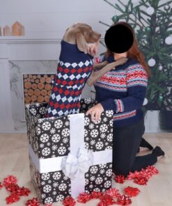 Blueberry Pet Chic Argyle All Over Dog Sweater in Navy Blue, Back Length 20", Pack of 1 Clothes for Dogs 20 inch (Pack of 1) Argyle Navy Blue 23 71zGEopBTxL 1