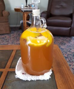 FastRack Stopper/Airlock 1 Gallon Glass Fermenter/Jug, Clear 1 Count (Pack of 1) 40 71zGh2zhYjL