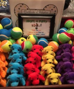Plush Neon Dogs (1 dozen) - Bulk, Assorted Colors 16 71zImIdHrmL