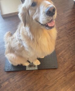 W.C Redmon Precision Digital Pet Scales, Large Large (Pack of 1) 32 71zJW44swL