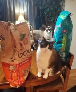 Purina ONE Natural, Low Fat, Weight Control, Indoor Dry Cat Food, +Plus Indoor Advantage - 22 lb. Bag Turkey 22.00 Pound (Pack of 1) 37 71zKxewDxL