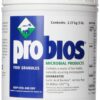 VETS PLUS Probios Feed Granule for Horses, 5-Pound 44 71zL3dA5GEL