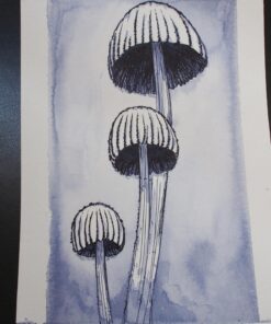 Zebra Comic G Model Chrome Pen Nib, 10 Nibs (1 Pack) (PG-6B-C-K) 1 Count (Pack of 1) 39 71zMkooLN8L