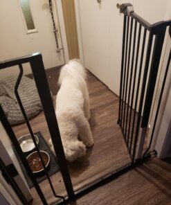 Regalo Easy Step Extra Tall Walk Thru Baby Gate, Bonus Kit, Includes 4-Inch Extension Kit, Pressure Mount Kit and Wall Cups and Mounting Kit, Black, 4 Count (Pack of 1) 27 71zOkUGiiL