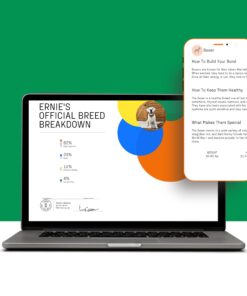 Dna My Dog Essential Test –Breed ID Test Mixed Breed Identification, Personality Traits, for Puppies to Adult Dogs, Non-Invasive Cheek Swab 24 71zQ0FA9nlL