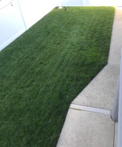 Scotts Turf Builder WinterGuard Fall Weed & Feed3, Weed Killer Plus Fall Fertilizer, 5,000 sq. ft., 14.29 lbs. 5,000 sq. ft. 28 71zRVqAQ3dL