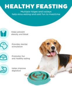 Outward Hound Fun Feeder Slo Bowl, Slow Feeder Dog Bowl, Medium/Mini, Turquoise 20 71zXHGISCIL 1