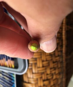 Derwent Coloured Pencils, Inktense Ink Pencils, Drawing, Art, Metal Tin, 72 Count (2301843) (Packaging May Vary) 46 71zZ2NA13ZL