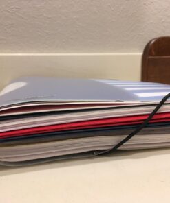 Pendaflex PileSmart Project Sorter, Letter Size (50995) 20 71zZqmWqbtL