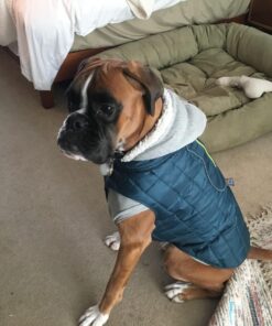 Kurgo Loft Dog Jacket, Reversible Dog Coat, Wear with Harness or Sweater, Water Resistant, Reflective, Winter Coat For Large Dogs (Ink Blue, L) Ink Blue/Seaglass 36 71zato5GYVL