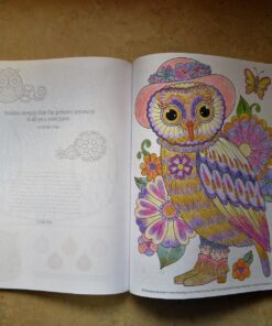 Groovy Owls Coloring Book (Coloring is Fun) (Design Originals) 32 Adorable Art Activities with Quiet, Stoic, Wise, and Happy Owls, plus Beginner-Friendly Advice, Techniques, Color Choices, & Examples Paperback, Coloring Book 55 71zbpODO4eL