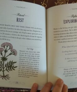 The Illustrated Herbiary: Guidance and Rituals from 36 Bewitching Botanicals (Wild Wisdom) 43 71zhZGRvCwL