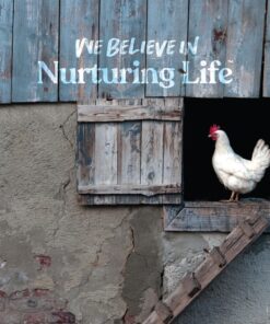 Manna Pro Fresh Flakes | Chicken Coop Bedding | Pine Shavings for Chicken Bedding | 4 Cubic Feet - 1 Count (Pack of 1) 18 71zhdLfDToL