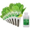AeroGarden Mixed Romaine Lettuce Seed Pod Kit (6-pod) 6-pod 4 71zjCu3LuOL