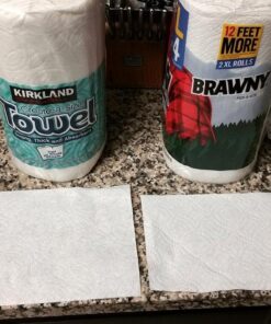 Brawny Paper Towels, 16 XL Rolls, Pick-A-Size, White, 16 = 32 Regular Rolls 8 Rolls (Pack of 2) 45 71zkOz2tAL