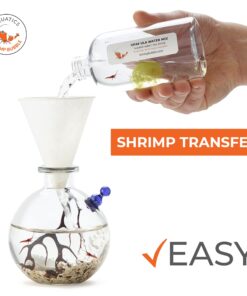 Shrimp Bubble Glass Self-Sustaining Ecosystem Amber 27 71zkSlVpAhL