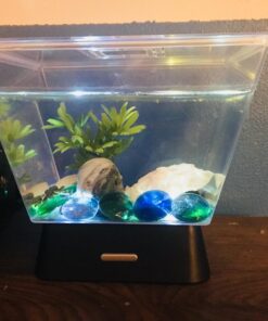 Tetra LED Betta Tank Kit 1 Gallon, Trapezoid aquarium With Base Lighting (24050) 30 71zkqE7bqbL