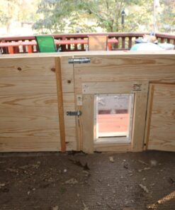 Ideal Pet Products Original Pet Door with Telescoping Frame, Extra-Large, 10.5" x 15" Flap Size 35 71zkwDV bsL