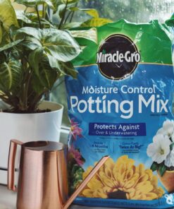 Miracle-Gro Moisture Control Potting Mix - Soil for Indoor & Outdoor Containers, Added Fertilizer Feeds Up to 6 Months, 8 qt. 8 qt. 36 71zl4KUKIRL