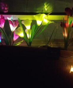 TONULAX Solar Garden Lights Outdoor - New Upgraded, Multi-Color Changing Lily Solar Lights for Patio,Yard Decoration, Bigger Flower and Wider Solar Panel (2 Pack,Purple and Red) 2 Pack 39 71zmj3VqjDL