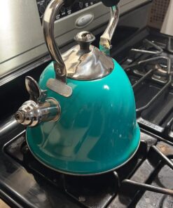 Mr. Coffee Alderton Tea Kettle, 2.3 Quarts, Green 17 71zr aSxDL