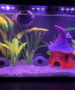 Fritz Aquatics Fritz Mardel - Coppersafe - 16oz 6 71zwBp Ex1L