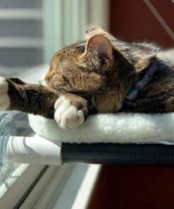 Kitty Cot Original World's Best Cat Perch (Large) Black Color Kitty Cot Large 32 71zx2ilst7L