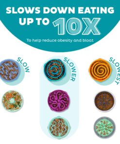 Outward Hound Fun Feeder Slo Bowl, Slow Feeder Dog Bowl, Medium/Mini, Turquoise 18 81 1ja33nL 1